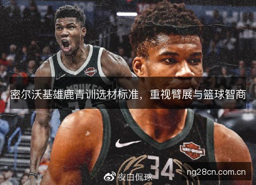 密尔沃基雄鹿青训选材标准,重视臂展与篮球智商 密尔沃基雄鹿青训选材标准,重视臂展与篮球智商