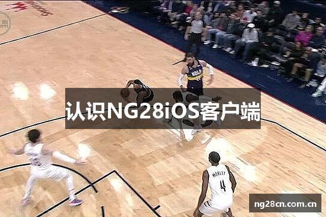 认识NG28iOS客户端
